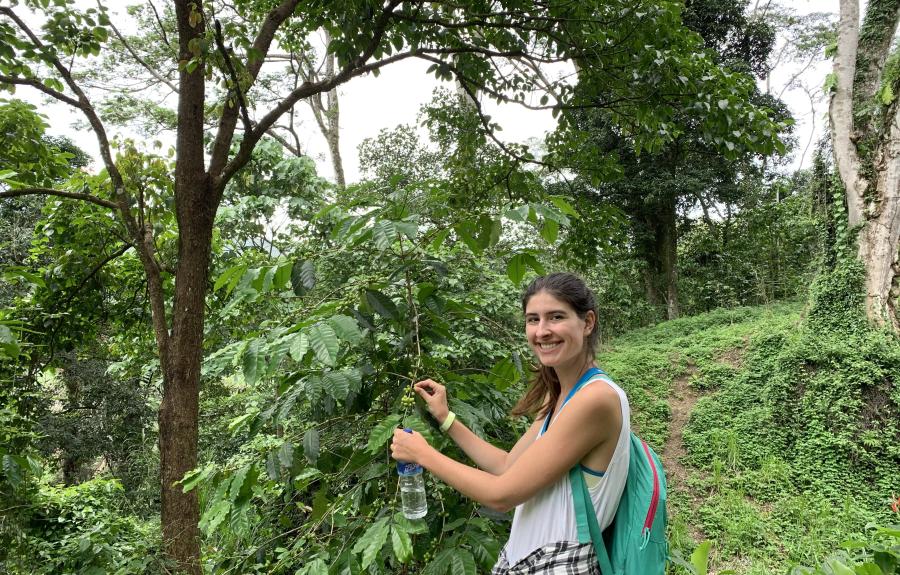Courtney Noll standing by a coffee plant