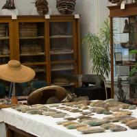 Anthropology collections in McGraw Hall