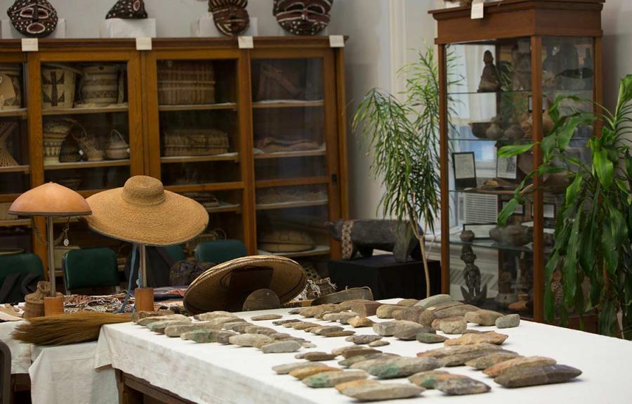 Anthropology collections in McGraw Hall