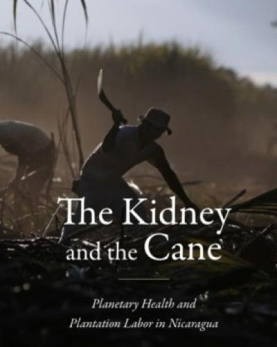 The Kidney and the Cane book cover
