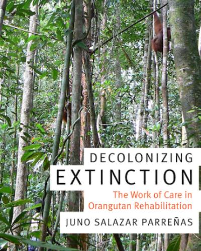 Decolonizing extinction book cover