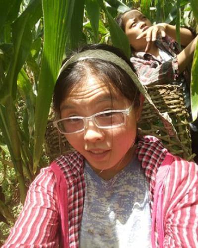 Ting Hui Lau